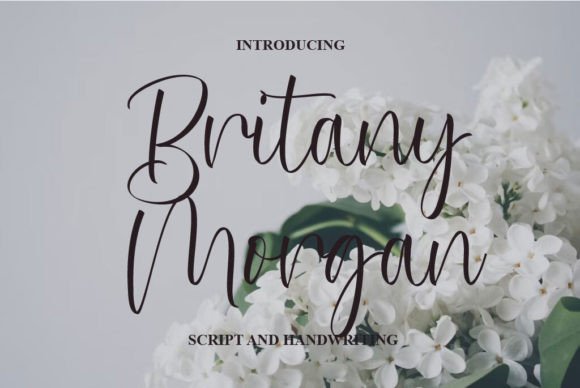 Britany Morgan: A Script Font for Timeless Elegance