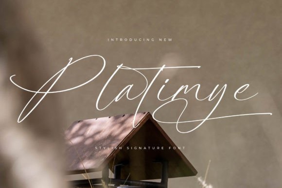 Platimye: Adding Sophistication to Your Designs